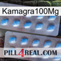 Kamagra100Mg viagra4